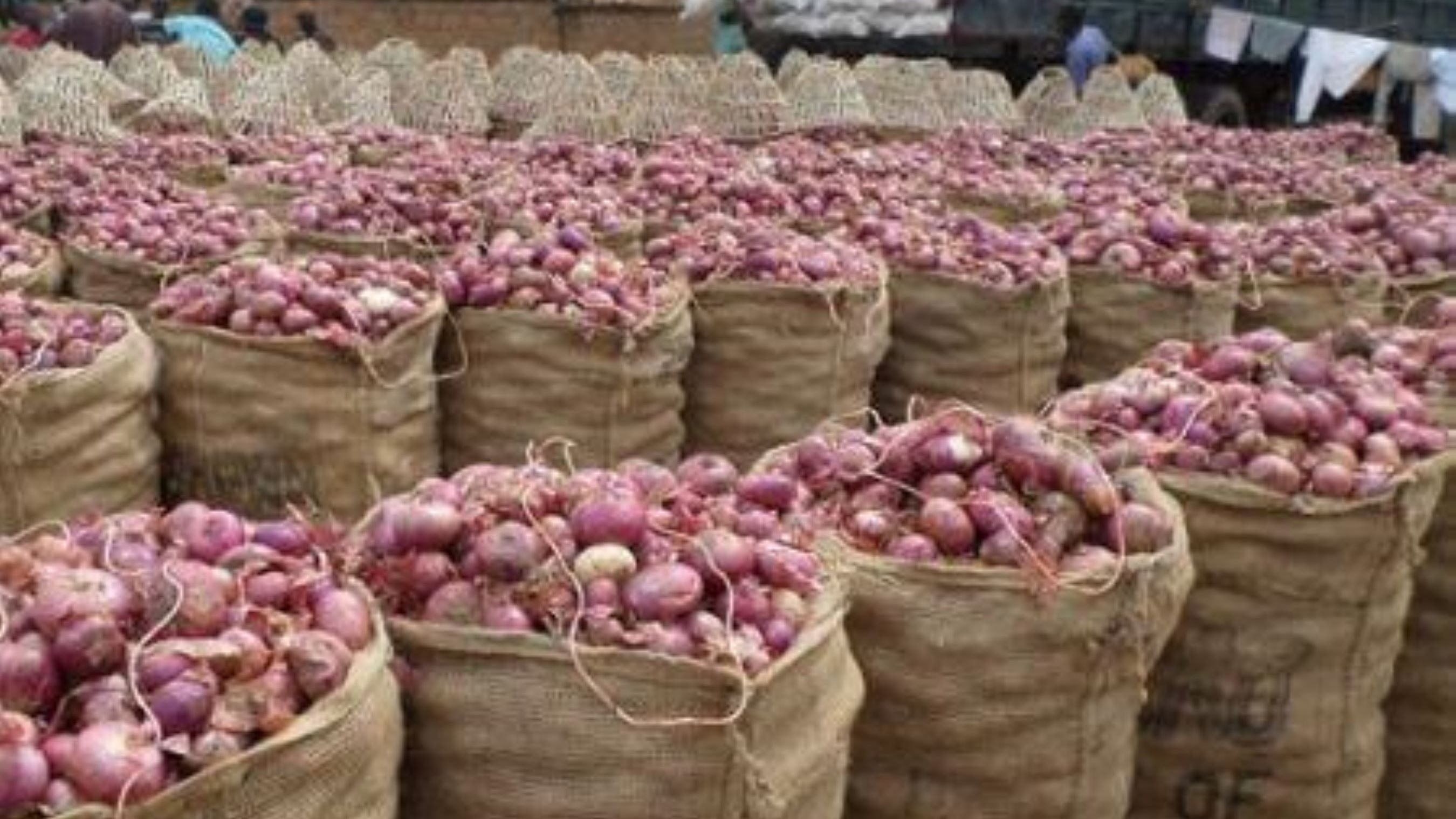 Afrique de l’Ouest : focus sur le commerce intra-régional de l’oignon